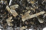Black Tourmaline (Schorl) & Smoky Quartz Crystals - Namibia #100374-1